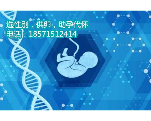 上海供卵试管中心地址,做三代试管婴儿疼不疼