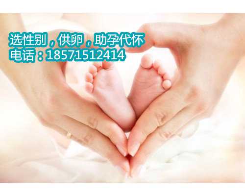 上海试管代孕供卵,泰国试管婴儿费用大概由哪些部分组成