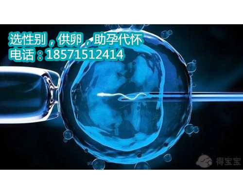 上海试管代孕是合法,胚胎守护人：“小蝌蚪”和卵细胞成功结合