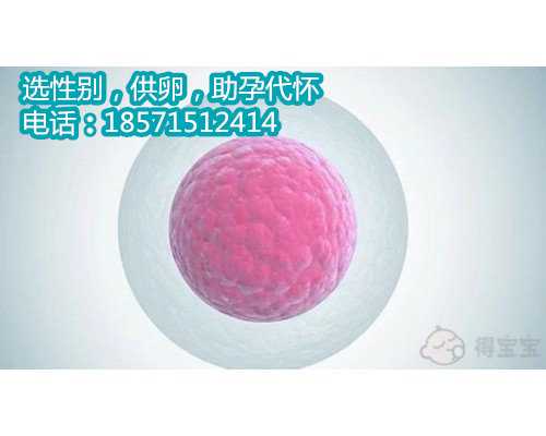 上海试管代孕第四代,传染性腹膜炎应该如何治疗