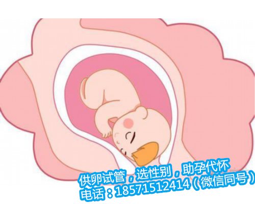 上海试管代孕哪里最好,怀孕两个月出血的原因及护理方法