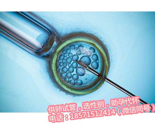 上海供卵试管包成功医院,冷冻胚胎的原理、优势及冷冻方式